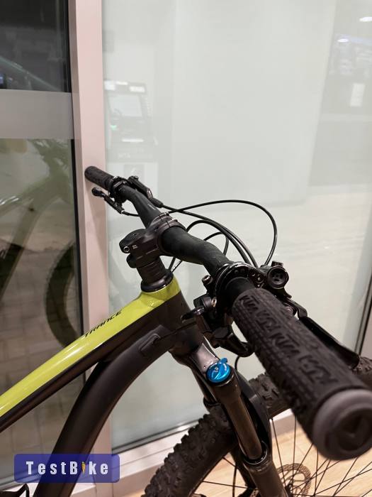 Giant Trance 2024 29 M 