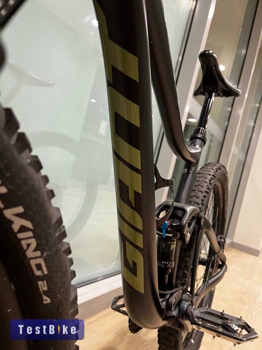 Giant Trance 2024 29 M 