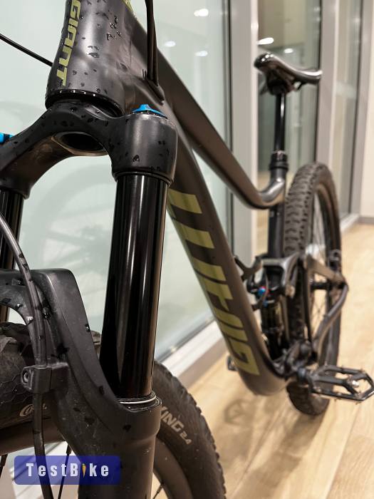 Giant Trance 2024 29 M 