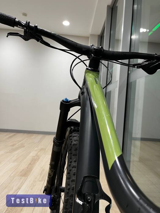 Giant Trance 2024 29 M 