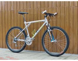 GT Avalanche - 1995