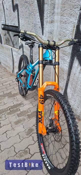 Giant Glory DH 2021