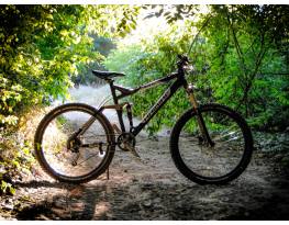 Haibike qfssl