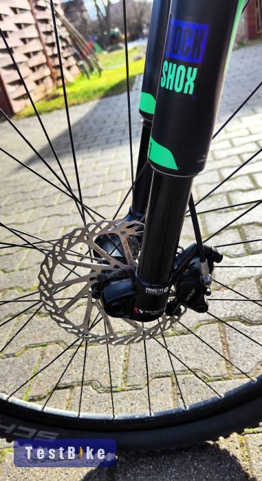 Használt Baddog Azawakh 33 eladó