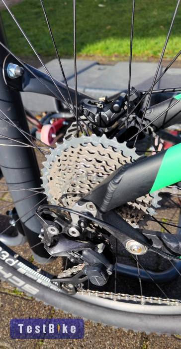 Használt Baddog Azawakh 33 eladó