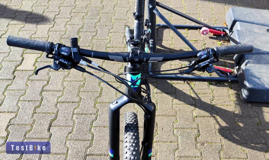 Használt Baddog Azawakh 33 eladó