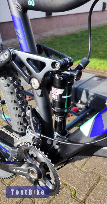 Használt Baddog Azawakh 33 eladó