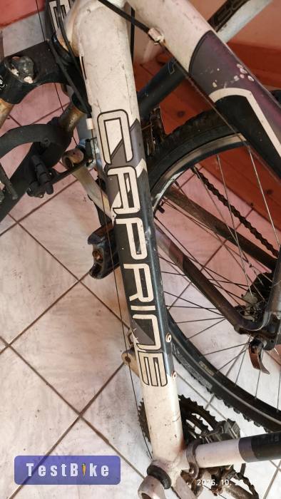 Használt Caprine Forest eladó