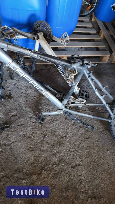 Használt Caprine Forest eladó