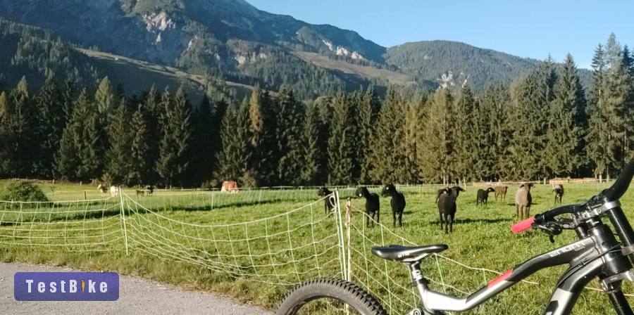 Használt CTM Mons Pro eladó