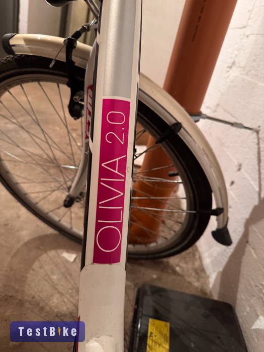 Használt CTM Oliva 2.0 eladó