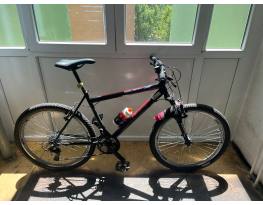 Használt custom Neuzer Nelson 30 eladó