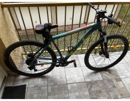 Használt DHS 2925 L-es méret eladó