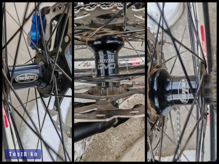 Használt Focus Black Forest 29R 2.0 eladó