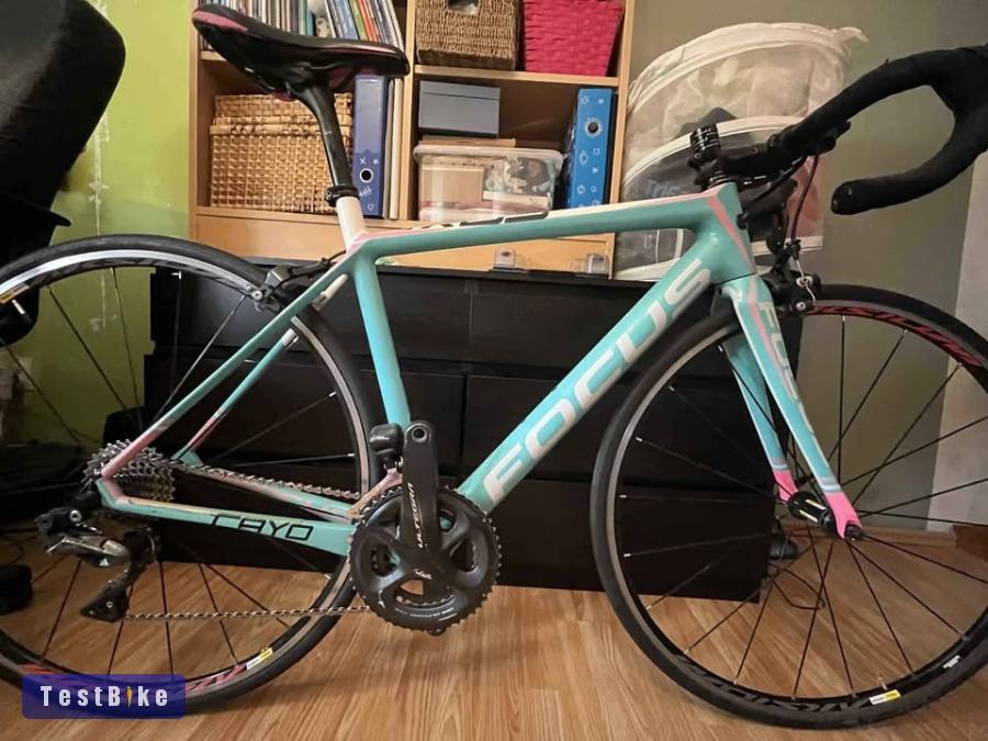 Használt Focus Cayo 2.0 eladó