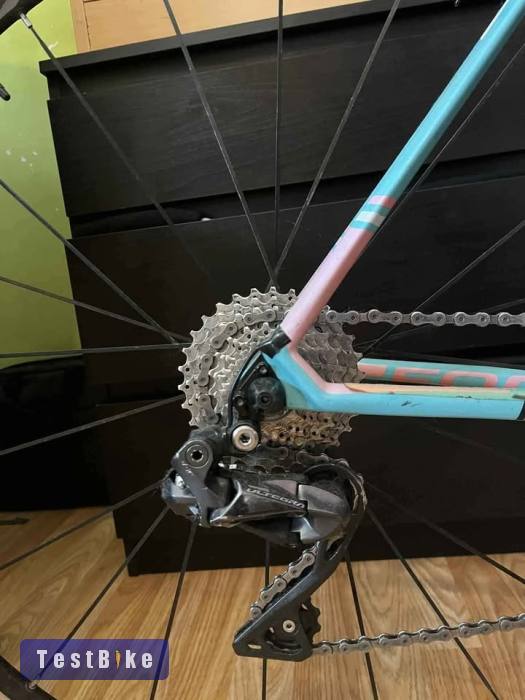 Használt Focus Cayo 2.0 eladó