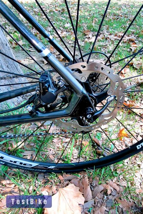 Használt Focus Cayo eladó