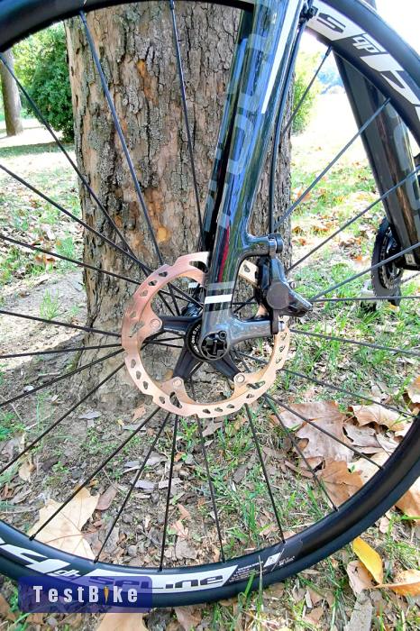 Használt Focus Cayo eladó