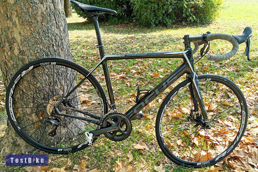 Használt Focus Cayo eladó