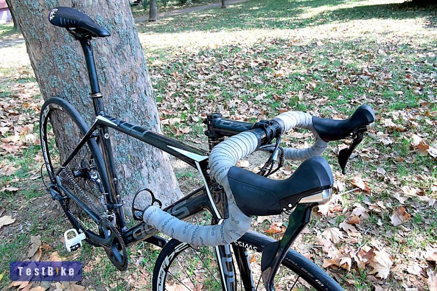 Használt Focus Cayo eladó