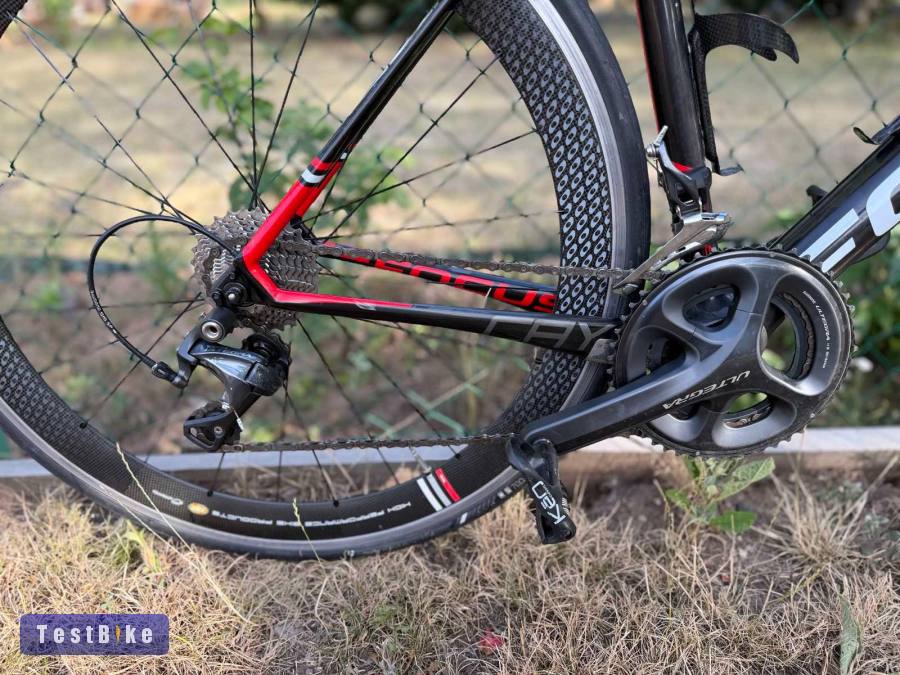 Használt Focus Cayo Ultegra eladó
