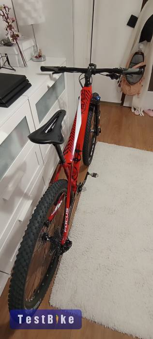 Használt Focus Raven Full karbon 29'-er eladó