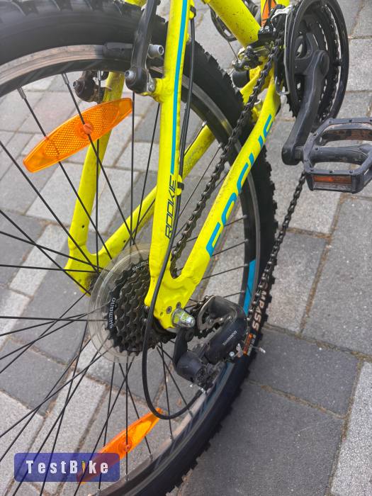 Használt Focus Raven Rookie 1.0 eladó