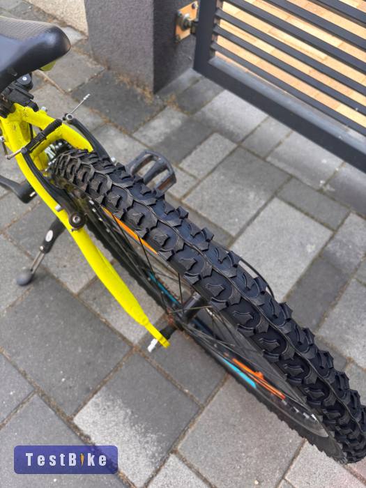 Használt Focus Raven Rookie 1.0 eladó