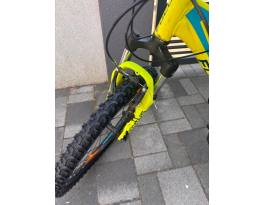 Használt Focus Raven Rookie 1.0 eladó