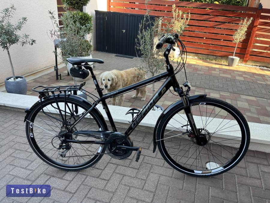 Használt Gepida Alboin 300 Pro eladó