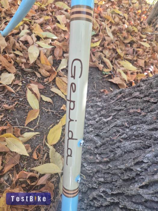 Használt Gepida S7 eladó