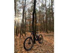 Használt Giant Glory 2 eladó