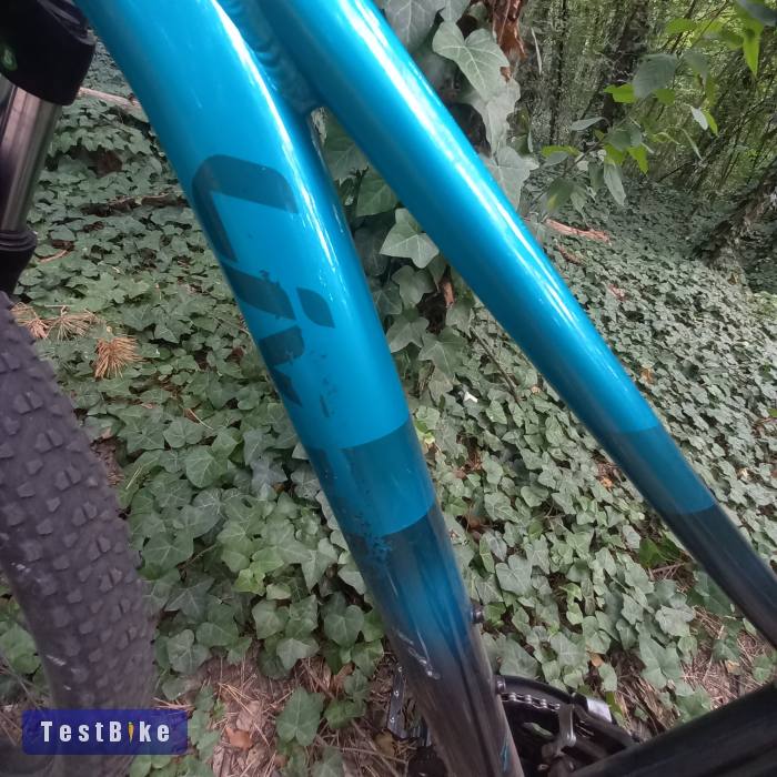 Használt Giant Liv Tempt 4 