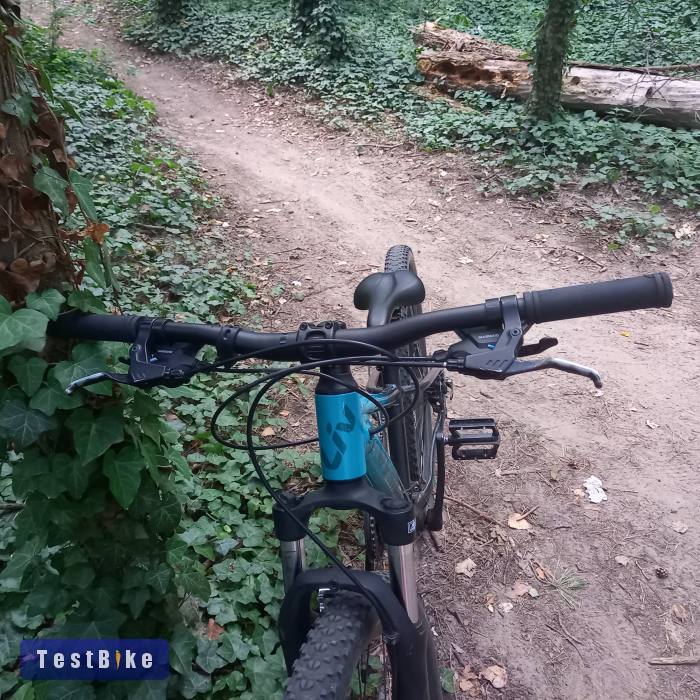 Használt Giant Liv Tempt 4 