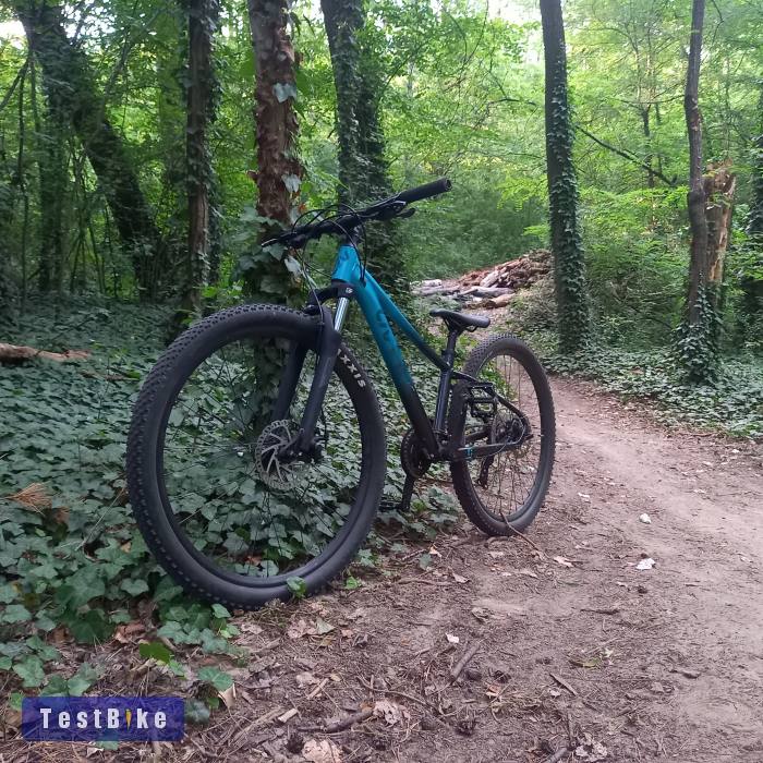 Használt Giant Liv Tempt 4 