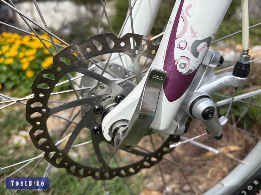 Használt Giant Revel 3 Disc W eladó