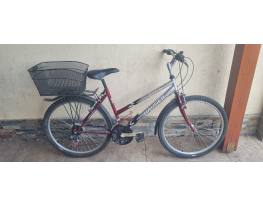 HasznĂĄlt Hauser Grizzly 28 eladĂł