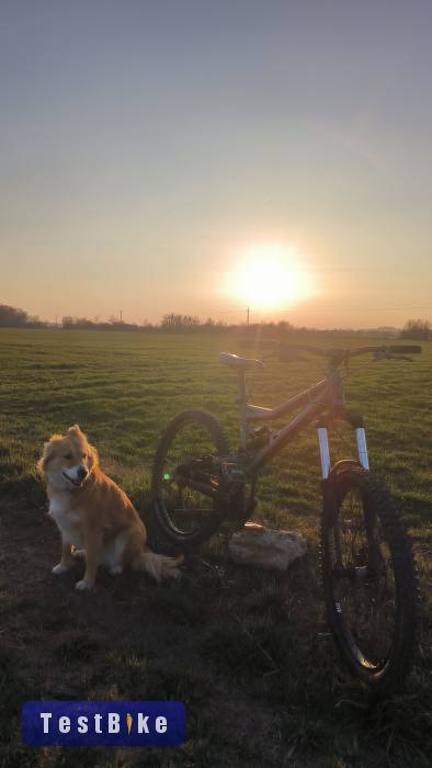 Használt Mongoose Pinn'R (apprentice) eladó