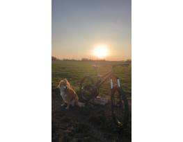 Használt Mongoose Pinn'R (apprentice) eladó