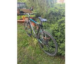 Használt Neuzer Courier DT eladó