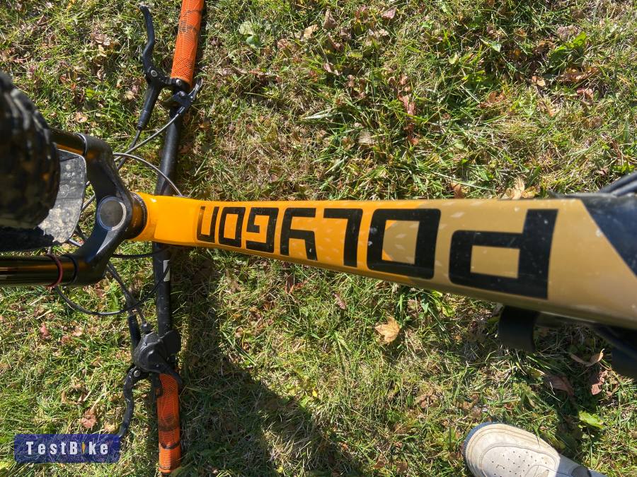 Használt Polygon D6 2022