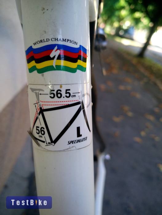 Használt Specialized Allez Comp eladó