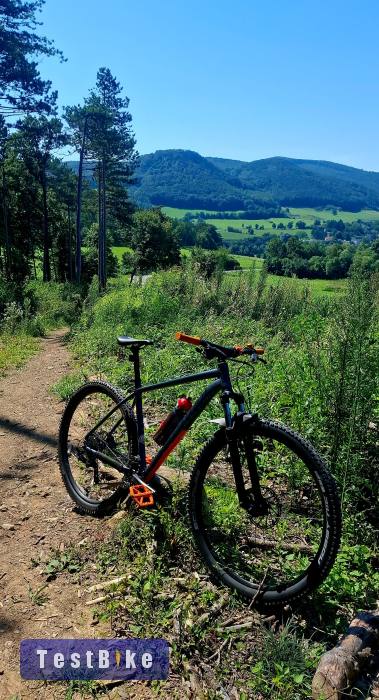 Használt Specialized Rockhopper Comp eladó