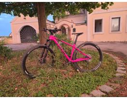 Használt Trek Procaliber 6 WSD eladó
