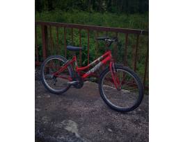 Hauser Wolf 24 "