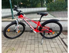 Head Ridott 24”