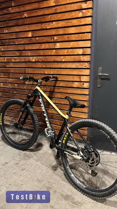 Kellys Gibon 50 2020