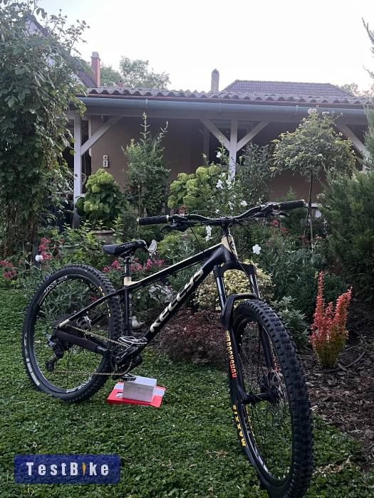 Kellys Gibon 50 2020
