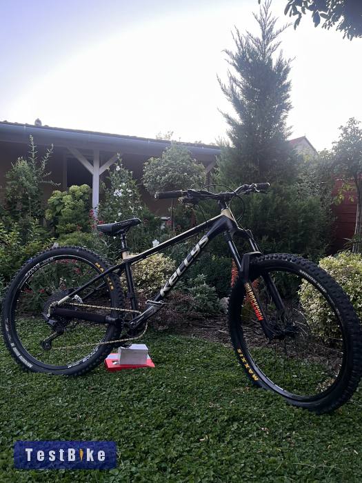 Kellys Gibon 50 2020