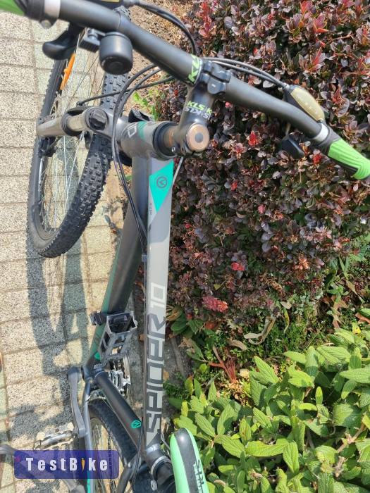 Kellys Spider 10 29"-es